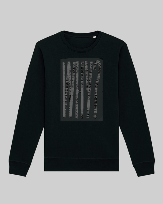 Herren-Sweater aus Premium-Baumwolle – "why?"