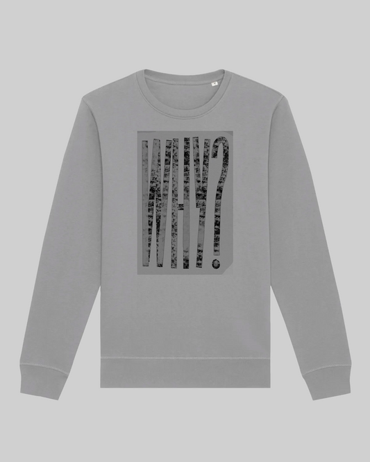 Herren-Sweater aus Bio-Baumwolle – "why?" Print