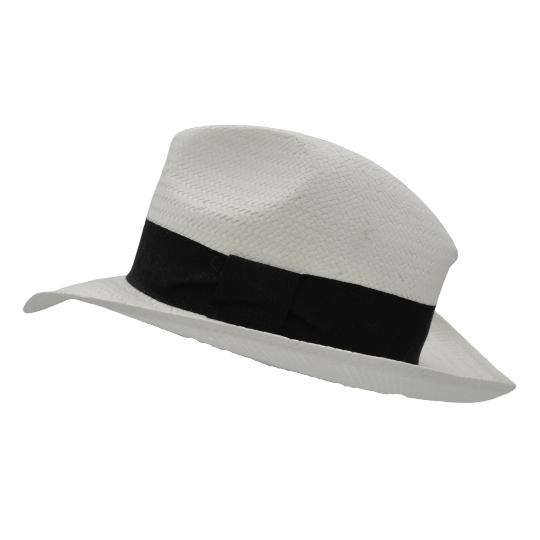 2441 - Paper Hat